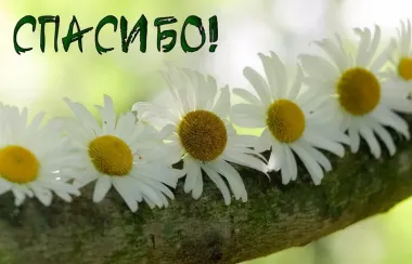 Открытка с пожеланиями Поздравление, красивое пожелание  стильно, прикольно, коротко, своими словами