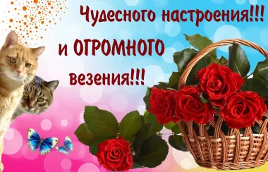 Открытка с пожеланиями Поздравление, красивое пожелание  стильно, прикольно, коротко, своими словами