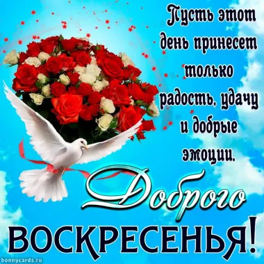 Открытка с пожеланиями Поздравление, красивое пожелание  стильно, прикольно, коротко, своими словами