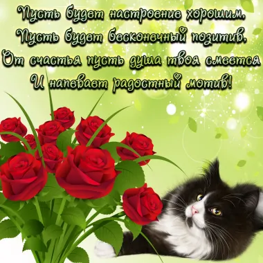 Открытка с пожеланиями Поздравление, красивое пожелание Пожелание стильно, прикольно, коротко, своими словами