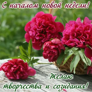 Открытка с пожеланиями Поздравление, красивое пожелание С началом новой недели! стильно, прикольно, коротко, своими словами