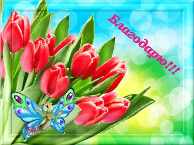 Открытка с пожеланиями Поздравление, красивое пожелание Картинка с тюльпанами стильно, прикольно, коротко, своими словами