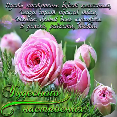 Открытка с пожеланиями Поздравление, красивое пожелание  стильно, прикольно, коротко, своими словами