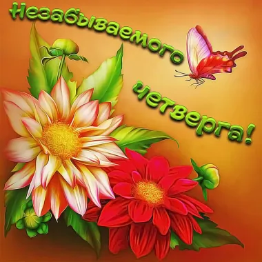 Открытка с пожеланиями Поздравление, красивое пожелание  стильно, прикольно, коротко, своими словами