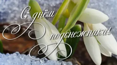 Открытка с пожеланиями Поздравление, красивое пожелание Красивая картинка с стильно, прикольно, коротко, своими словами