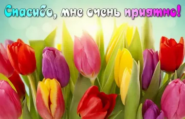 Открытка с пожеланиями Поздравление, красивое пожелание Спасибо, мне стильно, прикольно, коротко, своими словами