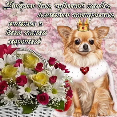 Открытка с пожеланиями Поздравление, красивое пожелание Пожелание стильно, прикольно, коротко, своими словами