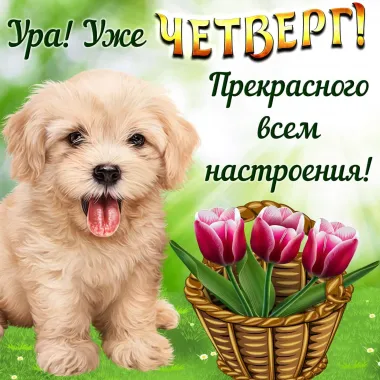 Открытка с пожеланиями Поздравление, красивое пожелание Ура! стильно, прикольно, коротко, своими словами