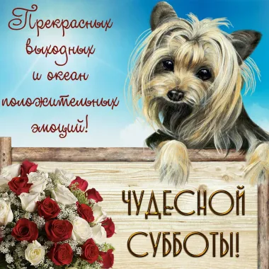 Открытка с пожеланиями Поздравление, красивое пожелание  стильно, прикольно, коротко, своими словами