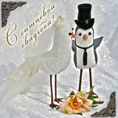 Открытка с пожеланиями Поздравление, красивое пожелание Открытка смешная с первой стильно, прикольно, коротко, своими словами