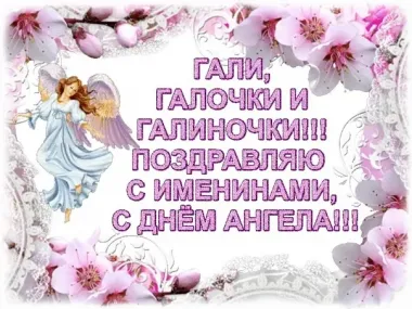 Открытка с пожеланиями Поздравление, красивое пожелание Картинка праздничная для галочки стильно, прикольно, коротко, своими словами