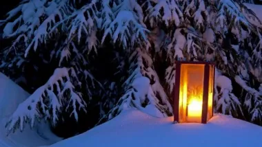 Открытка с пожеланиями Поздравление, красивое пожелание С днем стильно, прикольно, коротко, своими словами