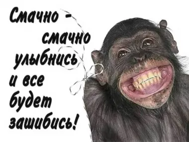 Открытка с пожеланиями Поздравление, красивое пожелание Смешная картинка улыбнись, все стильно, прикольно, коротко, своими словами