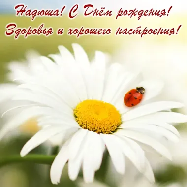 Открытка с пожеланиями Поздравление, красивое пожелание Нежная картинка надюша, с стильно, прикольно, коротко, своими словами