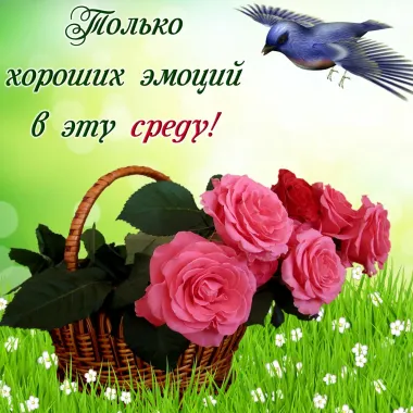 Открытка с пожеланиями Поздравление, красивое пожелание хороших эмоций стильно, прикольно, коротко, своими словами