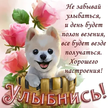 Открытка с пожеланиями Поздравление, красивое пожелание Нежная открытка с стильно, прикольно, коротко, своими словами