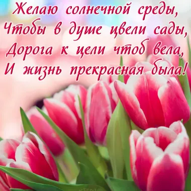 Открытка с пожеланиями Поздравление, красивое пожелание  стильно, прикольно, коротко, своими словами