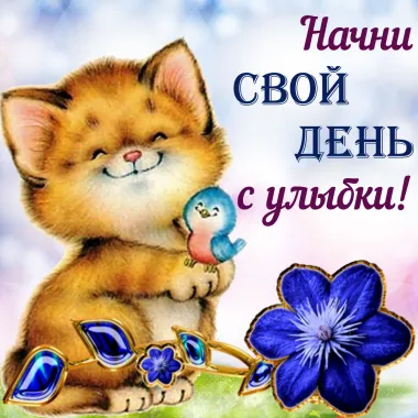 Открытка с пожеланиями Поздравление, красивое пожелание Нежная смешная открытка начни свой день стильно, прикольно, коротко, своими словами