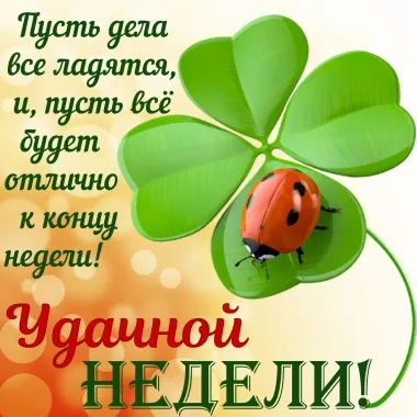 Открытка с пожеланиями Поздравление, красивое пожелание Стильная картинка с пожеланием стильно, прикольно, коротко, своими словами