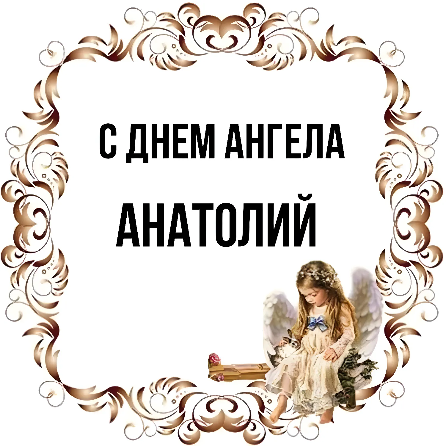 Коллекция Анатолий