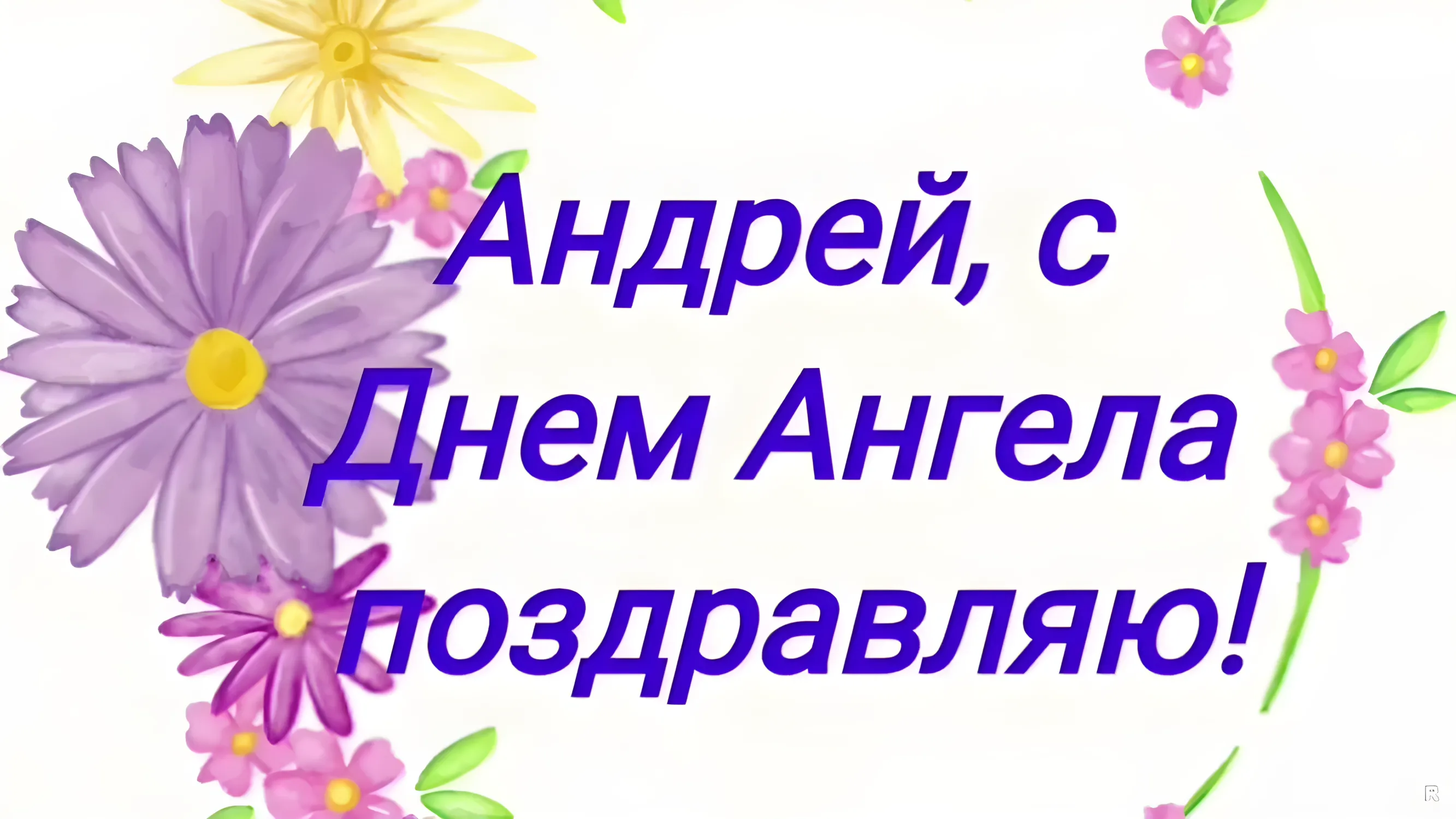 Коллекция Андрей