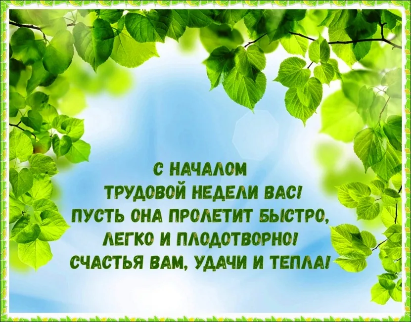 Открытка с пожеланиями Поздравление, красивое пожелание Картинка нежная с пожеланием стильно, прикольно, коротко, своими словами