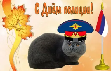 Открытка с пожеланиями Поздравление, красивое пожелание Прикольная картинка с стильно, прикольно, коротко, своими словами