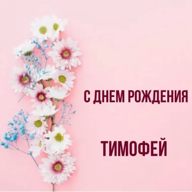 Открытка с пожеланиями Поздравление, красивое пожелание Нежная картинка с днем стильно, прикольно, коротко, своими словами