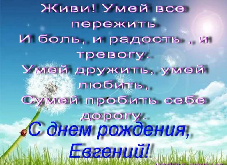 Открытка с пожеланиями Поздравление, красивое пожелание Открытка с пожеланием евгению на стильно, прикольно, коротко, своими словами