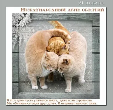 Открытка с пожеланиями Поздравление, красивое пожелание Картинка прикольная на стильно, прикольно, коротко, своими словами