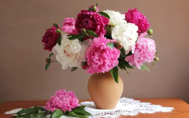 Открытка с пожеланиями Пионы