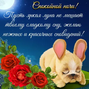 Открытка с пожеланиями Спокойной ночи