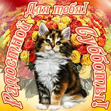 Открытка с пожеланиями Поздравление, красивое пожелание  стильно, прикольно, коротко, своими словами