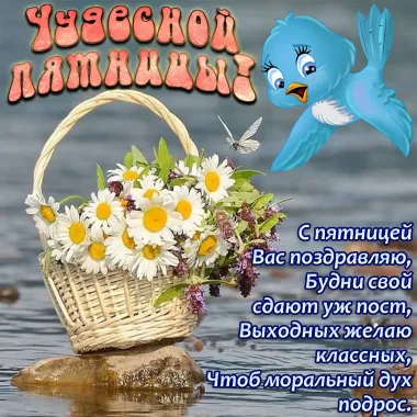 Открытка с пожеланиями Поздравление, красивое пожелание  стильно, прикольно, коротко, своими словами