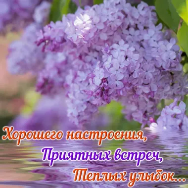 Открытка с пожеланиями Поздравление, красивое пожелание  стильно, прикольно, коротко, своими словами