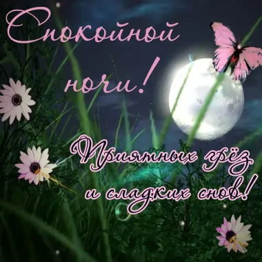 Открытка с пожеланиями Спокойной ночи