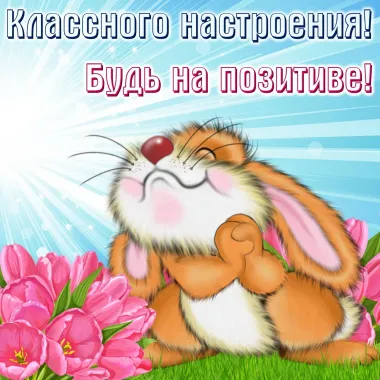 Открытка с пожеланиями Поздравление, красивое пожелание  стильно, прикольно, коротко, своими словами