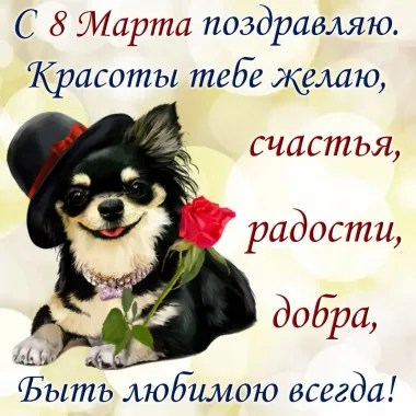 Открытка с пожеланиями Поздравление, красивое пожелание Прикольная открытка с стильно, прикольно, коротко, своими словами