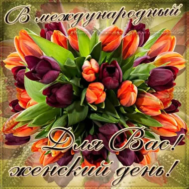 Открытка с пожеланиями Поздравление, красивое пожелание Открытка для женщин в день стильно, прикольно, коротко, своими словами