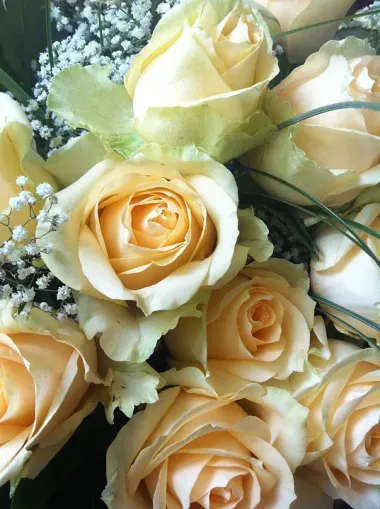 Открытка с пожеланиями Розы