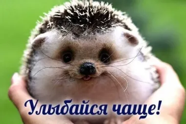 Открытка с пожеланиями Улыбнись