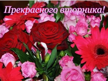 Открытка с пожеланиями Вторник