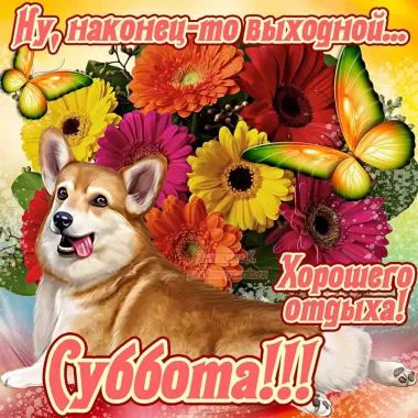 Открытка с пожеланиями Поздравление, красивое пожелание Хорошего отдыха стильно, прикольно, коротко, своими словами