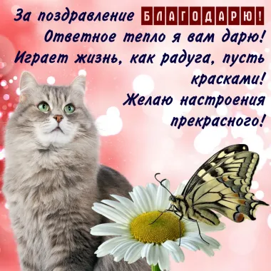 Открытка с пожеланиями Спасибо