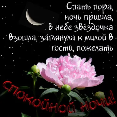 Открытка с пожеланиями Спокойной ночи