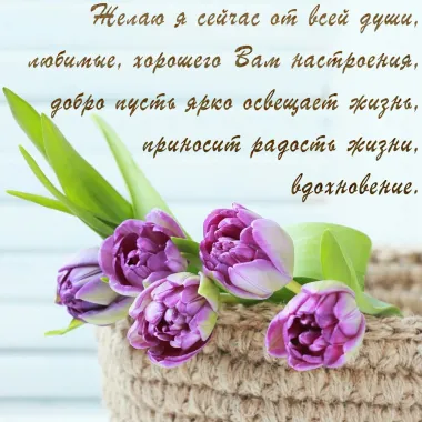 Открытка с пожеланиями Поздравление, красивое пожелание Хорошего стильно, прикольно, коротко, своими словами