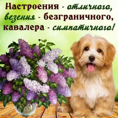 Открытка с пожеланиями Поздравление, красивое пожелание  стильно, прикольно, коротко, своими словами