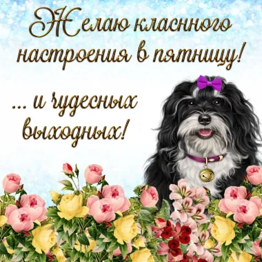 Открытка с пожеланиями Поздравление, красивое пожелание Желаю прекрасного настроения стильно, прикольно, коротко, своими словами