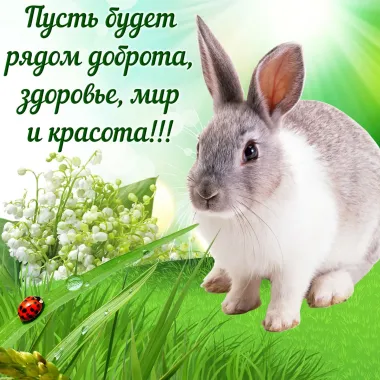 Открытка с пожеланиями Поздравление, красивое пожелание Пусть будет стильно, прикольно, коротко, своими словами