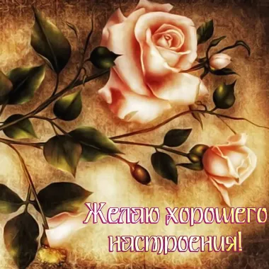 Открытка с пожеланиями Поздравление, красивое пожелание Желаю стильно, прикольно, коротко, своими словами